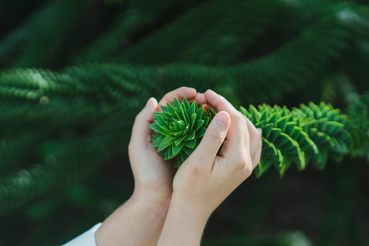 yavor-punchev-iSHwa3EaMlo-unsplash